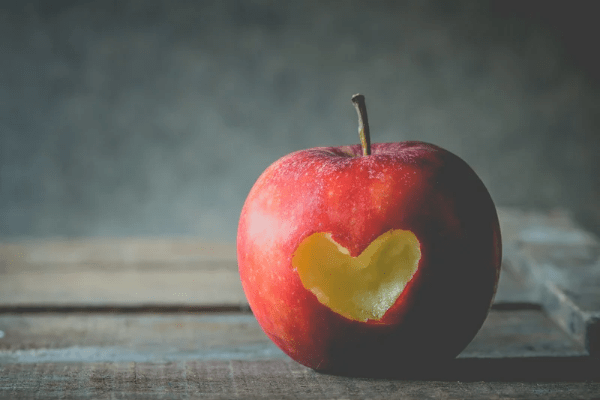 «Οδηγός στην Εδέμ»