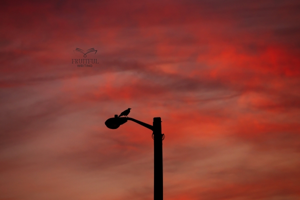 «Ματωμένο Φεγγάρι»