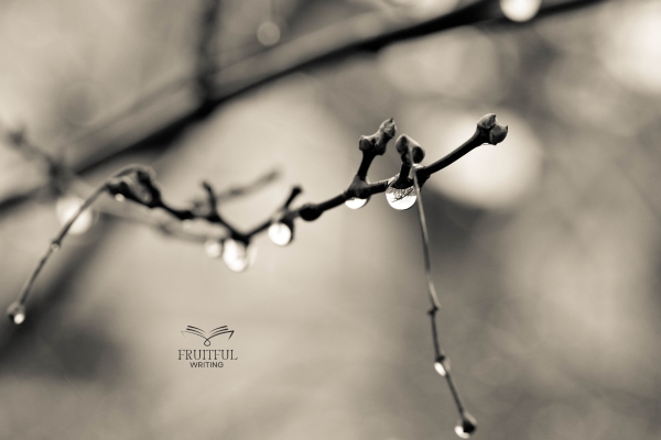 «Συννέφιασε»